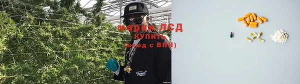 дмт Лагань