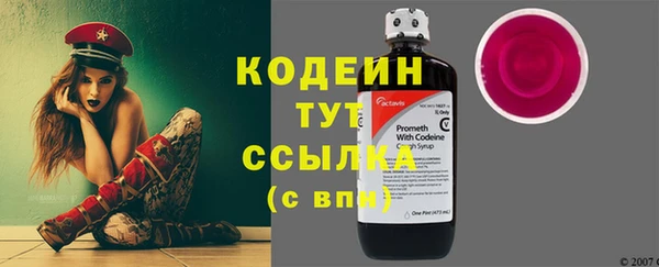 дмт Лагань