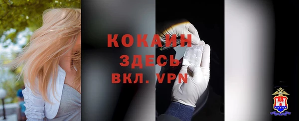 дмт Лагань